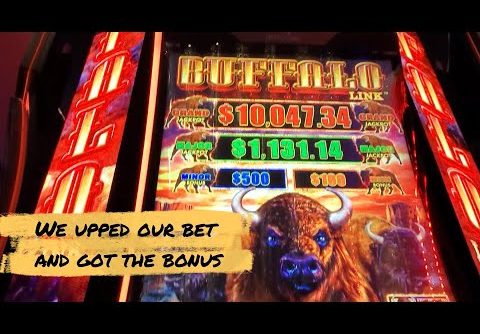 Big Win with Friends on Buffalo Link Slot | Cosmopolitan Las Vegas | Live Slot Play | Las Vegas 2023