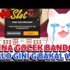 CARA MENANG SICBO | MEGA SICBO PRAGMATIC | CARA MAIN SICBO CASINO ONLINE #155