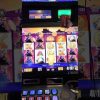 Big Win on Buffalo Slot Machine!! 🎰 #casino #slots