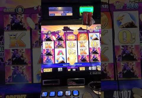 Big Win on Buffalo Slot Machine!! 🎰 #casino #slots