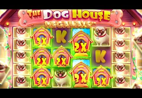 OUR BIGGEST RECORD WIN On DOG HOUSE MEGAWAYS!! (SENSATIONAL)
