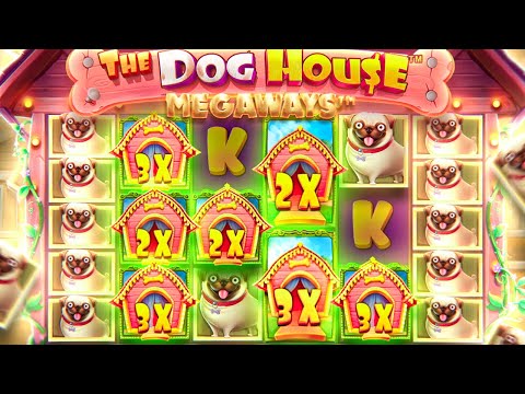 OUR BIGGEST RECORD WIN On DOG HOUSE MEGAWAYS!! (SENSATIONAL)