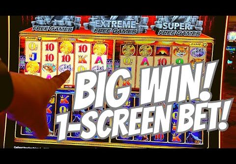 WAS THIS CRAZY?! BIG WIN! BETTING ON JUST 1 BUFFALO SCREEN 🤑 (WONDER 4 BOOST GOLD) Slot Machine