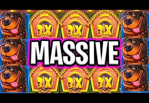 THE DOG HOUSE SLOT 🐶 KEEPS PAYING MEGA BIG WINS OMG‼️