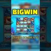 Razor Shark Wild Big Win! #casino #slot #razorshark #shorts