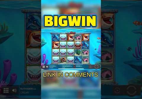 Razor Shark Wild Big Win! #casino #slot #razorshark #shorts