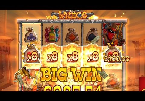 The Wildos – 100€ Spins – BIG WIN – Neuer Slot!