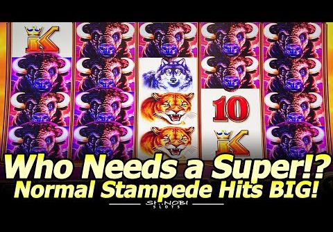 Who Needs a Super Stampede!? Normal Stampede Mega Big Win in Buffalo Ascension Slot at Gold Coast!