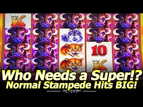 Who Needs a Super Stampede!? Normal Stampede Mega Big Win in Buffalo Ascension Slot at Gold Coast!