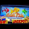 SUPER BONUS!  Jackpot Handpay on Goldfish Feeding Time Slot