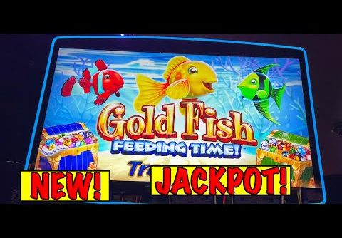 SUPER BONUS!  Jackpot Handpay on Goldfish Feeding Time Slot