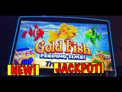 SUPER BONUS!  Jackpot Handpay on Goldfish Feeding Time Slot