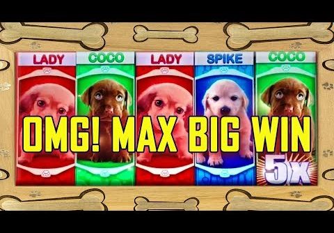 🐶OMG! PUPPIES🐶 💥BIG WIN💥 MAX BET!  – GET THOSE PUPPIES!!!! – ALL BONUS FEATURES