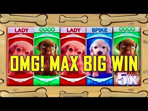 🐶OMG! PUPPIES🐶 💥BIG WIN💥 MAX BET!  – GET THOSE PUPPIES!!!! – ALL BONUS FEATURES