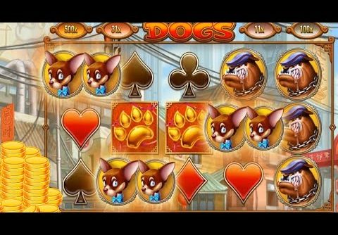 🎰🎰🎰 Slot Dogs Fortune 🎰🎰🎰Big Win + …