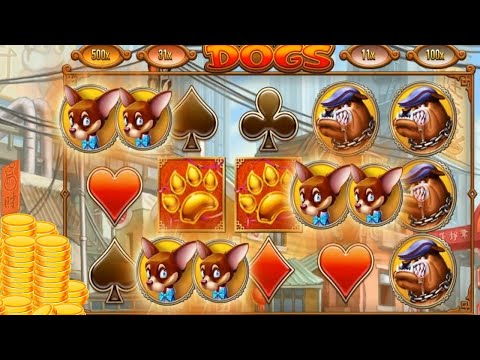 🎰🎰🎰 Slot Dogs Fortune 🎰🎰🎰Big Win + …