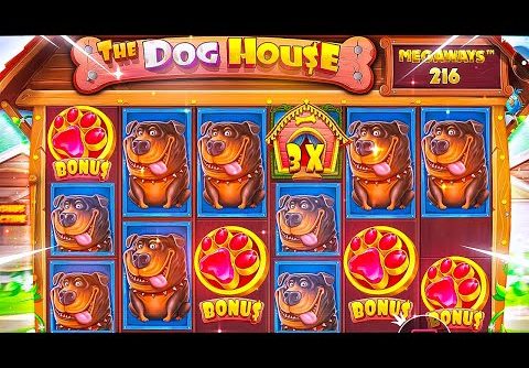 The Dog House Finally Paid Huge?! Big Wins & Crazy Luck