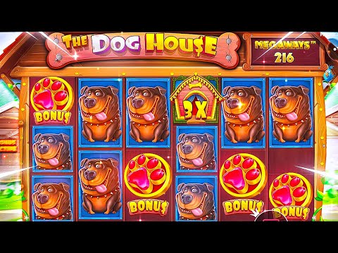 The Dog House Finally Paid Huge?! Big Wins & Crazy Luck