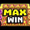 Max Winn ! BUFFALO KING MEGAWAYS  🎰 #slot #slotoyunları #casino #buffalokingmegaways