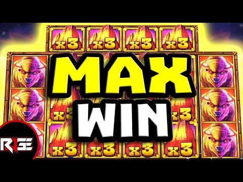 Max Winn ! BUFFALO KING MEGAWAYS  🎰 #slot #slotoyunları #casino #buffalokingmegaways