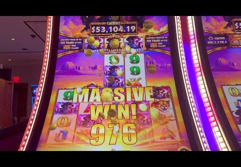 $10 BUFFALO ASCENSION MASSIVE BIG WIN STAMPEDE BONUS HIGH LIMIT VEGAS GOLD WONKA