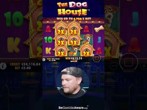 Big Win! The Dog House! Bonus Hunt Saver!!