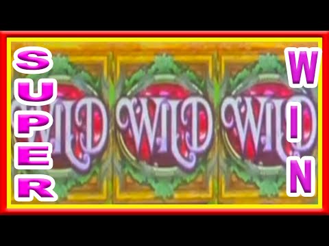 ** BIG WIN ** SECRETS OF FORESTS ** SLOT LOVER **