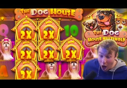 MY RECORD WIN ON A DOG HOUSE MULTIHOLD BONUS!