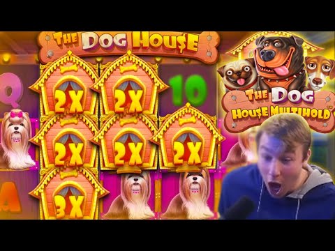 MY RECORD WIN ON A DOG HOUSE MULTIHOLD BONUS!