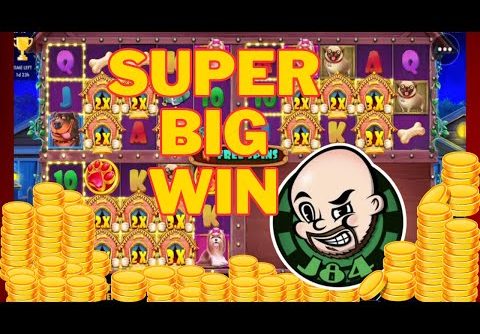 Super Big Win From Dog House Multihold!!