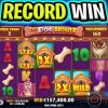 MY BIGGEST RECORD WIN EVER 🤑 DOG HOUSE MEGAWAYS SLOT 🔥 MASSIVE JACKPOT‼️ #shorts