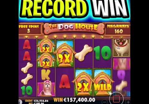 MY BIGGEST RECORD WIN EVER 🤑 DOG HOUSE MEGAWAYS SLOT 🔥 MASSIVE JACKPOT‼️ #shorts