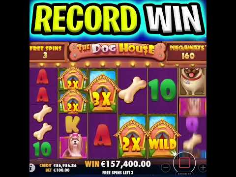 MY BIGGEST RECORD WIN EVER 🤑 DOG HOUSE MEGAWAYS SLOT 🔥 MASSIVE JACKPOT‼️ #shorts