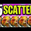 MY BIGGEST RECORD WIN 🤑 ON BIG BASS AMAZON XTREME SLOT 🔥 €25.000 BONUS BUYS‼️