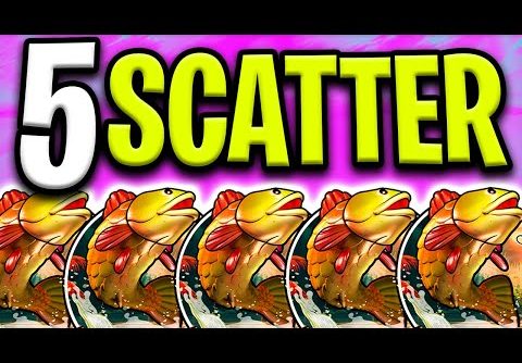 MY BIGGEST RECORD WIN 🤑 ON BIG BASS AMAZON XTREME SLOT 🔥 €25.000 BONUS BUYS‼️