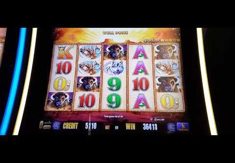 BUFFALO GOLD SLOT 45 SPIN BONUS BIG WIN! READ DESCRIPTION