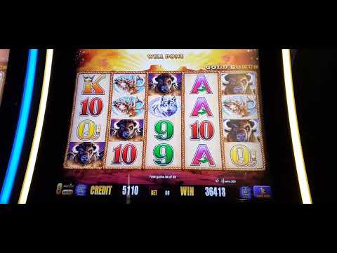 BUFFALO GOLD SLOT 45 SPIN BONUS BIG WIN! READ DESCRIPTION