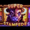 Big Bet SUPER STAMPEDE BONUS 🦬 Buffalo Ascension Live Slot Play