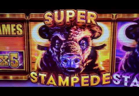 Big Bet SUPER STAMPEDE BONUS 🦬 Buffalo Ascension Live Slot Play