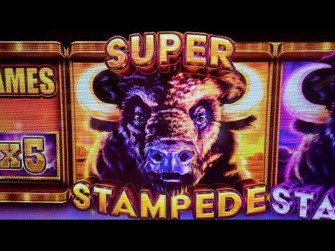 Big Bet SUPER STAMPEDE BONUS 🦬 Buffalo Ascension Live Slot Play