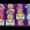 MORE BIG WINS TIMBERWOLF DELUXE #chumashcasino #timberwolfdeluxe #casino #tiktok #slotman #wow #win