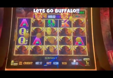 Low Limit Buffalo Link Slot Machine! Big Win 250x line hit!