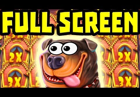 NO WAY OMG THE DOG HOUSE 🐶 CAN’T STOP PAYING 😱 MEGA BIG WINS FULL SCREEN OF STICKY WILDS⁉️