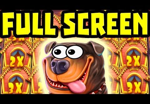 NO WAY OMG THE DOG HOUSE πΆ CAN’T STOP PAYING π± MEGA BIG WINS FULL SCREEN OF STICKY WILDSβοΈ