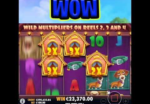 THE DOG HOUSE SLOT 🔥 €100 MAX BET 🤑 BONUS MEGA BIG WIN FINALLY SO MANY WILDS‼️ #shorts