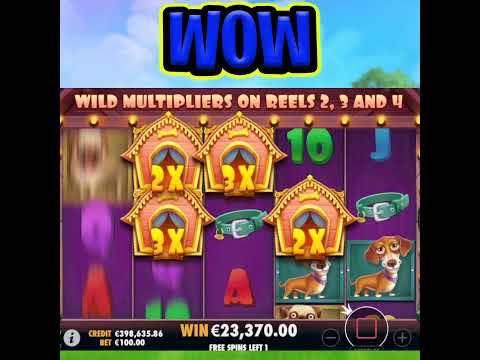 THE DOG HOUSE SLOT 🔥 €100 MAX BET 🤑 BONUS MEGA BIG WIN FINALLY SO MANY WILDS‼️ #shorts