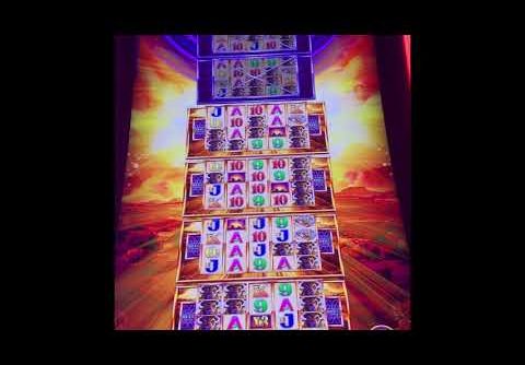 Buffalo Gold Tower Super Bonus Slot Machine Win @ Harrahs Laughlin Nevada