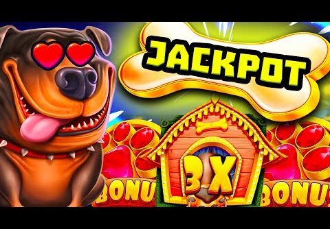 I BROKE THE DOG HOUSE MEGAWAYS 🐶 SLOT MY BEST RAINING WILDS BONUS EVER OMG‼️  *** ULTRA BIG WIN ***