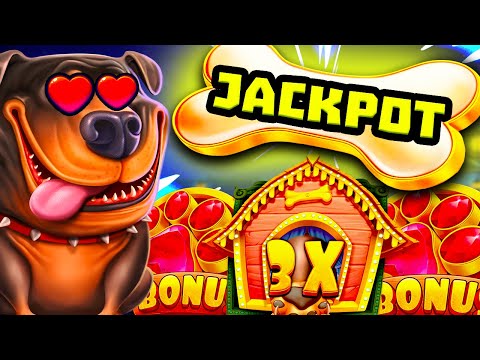 I BROKE THE DOG HOUSE MEGAWAYS 🐶 SLOT MY BEST RAINING WILDS BONUS EVER OMG‼️  *** ULTRA BIG WIN ***