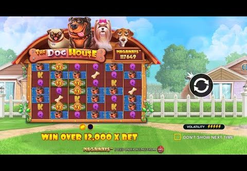 High limit dog house! join with link below!  Big win coming? #lpsslotchannel #stake